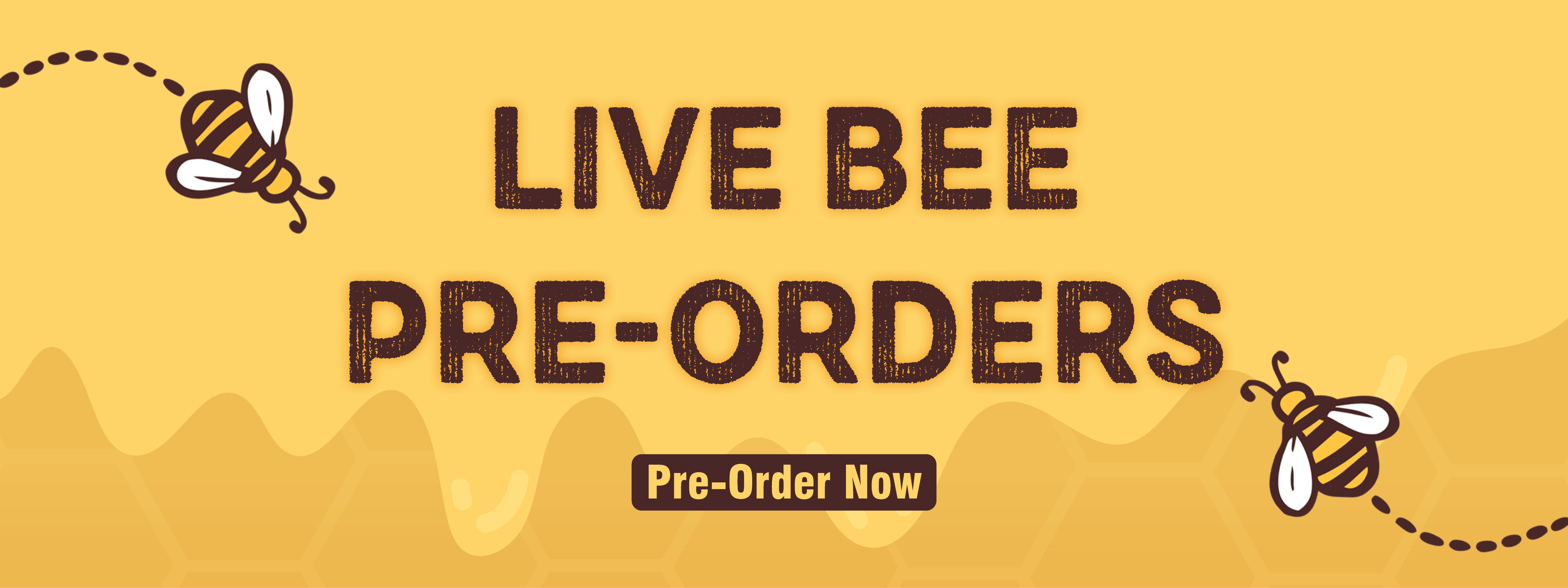 Pre Order Live Bees